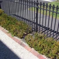 Wrought Iron Fence