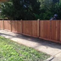 Merbau Timber Fence